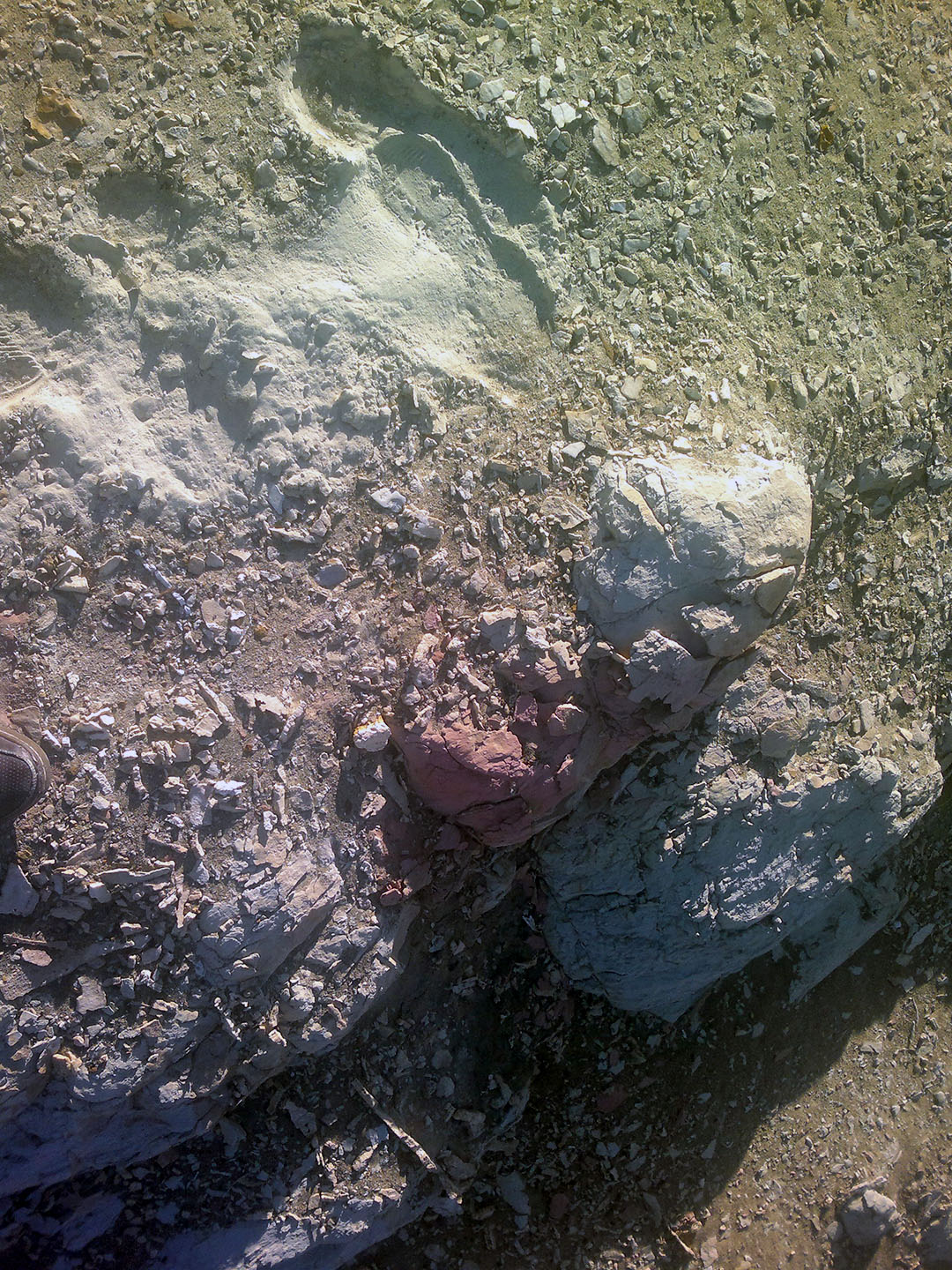 Imágenes de Ocucaje y sus restos fósiles